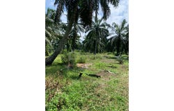 Banting, Selangor 42700