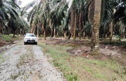 Kuala Langat, Selangor 42700