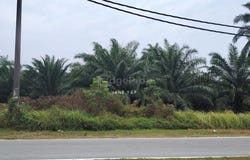 Sepang, Selangor, Sepang, Selangor 43950