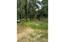 Muar, Johor 0