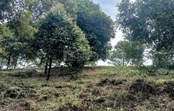 Bentong, Pahang 28700