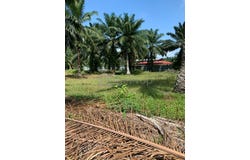 Banting, Selangor 42700