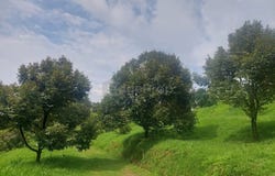 Gopeng, Perak 31600