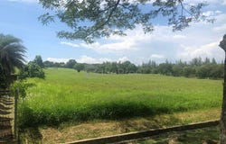 Gelang Patah, Johor 81550