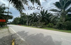 Banting, Selangor 42700