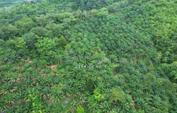 Sik, Kedah 0