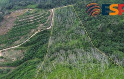 Bentong, Pahang 28700