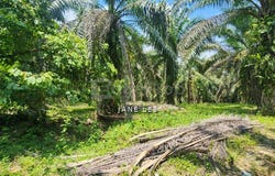 Parit, Perak 32800