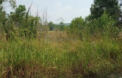 Rawang, 48000, Selangor, Rawang, Selangor 48000