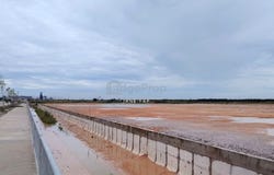 Jalan Banting-Semenyih, Banting, Selangor 42700