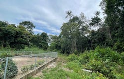 Kampung Nyior Paka, Dungun, Terengganu 23000