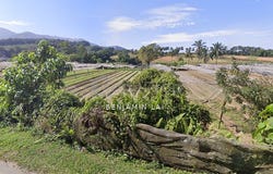 Kuang, Selangor 48050