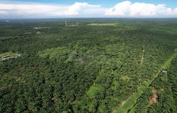 Taiping, Perak 34600