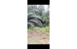 Telok Panglima Garang, Selangor 42500