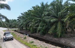 Pontian, Johor 82300