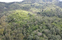 Hulu Langat, Selangor 43100