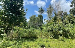 Dungun, Terengganu 23000
