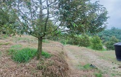 Hulu Selangor, Selangor 44000