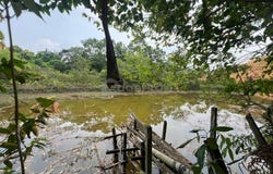 Kulai, Johor 81000