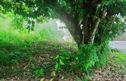 Jalan Bukit Impiana, Kajang, Selangor 43000