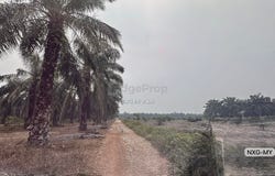Kuala Selangor, Selangor