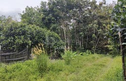 Rawang, Selangor 47000