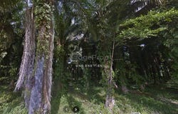 Kinta, Perak 31200