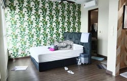 Shah Alam, Selangor 40460