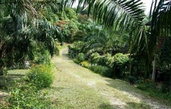 Kapar, Selangor 42200