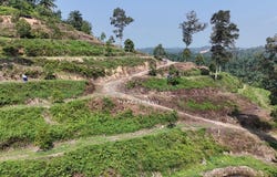 Kuala Kangsar, Perak 31100