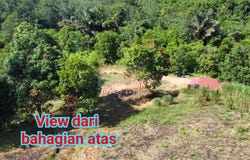 Hulu Langat, Selangor 43100