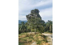 Pulau Kamiri, Kuala Kangsar, Perak 31100