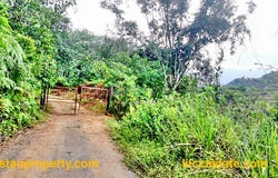 Jalan Bentong, Bentong, Pahang 28700