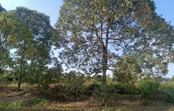 S, Jelebu, Negeri Sembilan