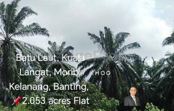 Banting, Selangor 42700