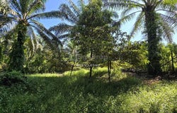 Kulai, Johor 81000