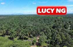 Kulim, Kedah 09700