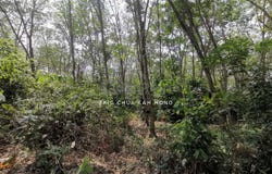 jalan kuala slim- felda gunung besout, Muallim, Perak 35800