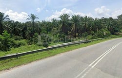 Pekan Nanas, Johor 81500