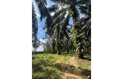 Ulu Tiram, Johor 81800