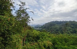 Bentong, Pahang 28750