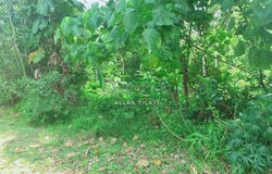 Jalan Rp, Rawang, Selangor