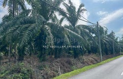 Banting, Selangor 42700