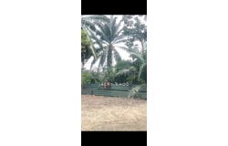 Banting, Selangor 42700