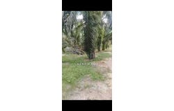 Banting, Selangor 42700