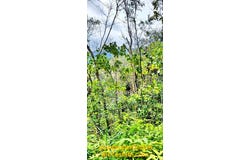 Jalan Bentong, Bentong, Pahang 28700