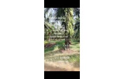 Telok Panglima Garang, Selangor 42500