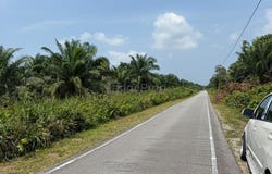Pontian, Johor 82000