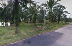 Banting, Selangor 42700