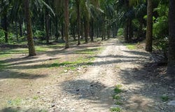 Selangor, Sepang, Selangor